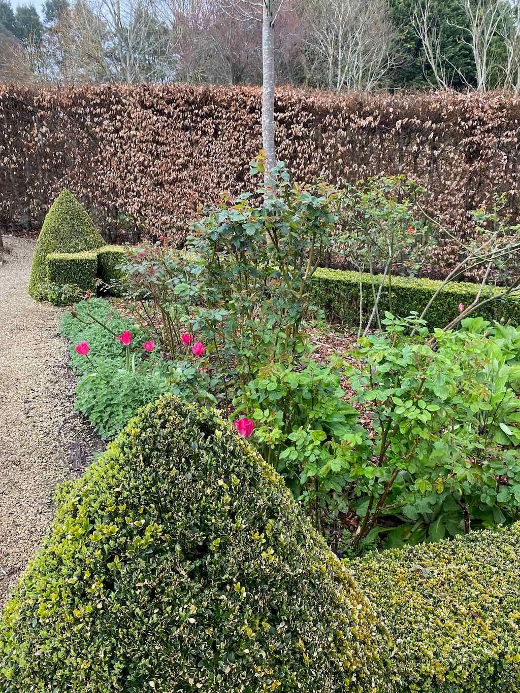 Red Cow Farm Garden Image -632f7ebe709a2